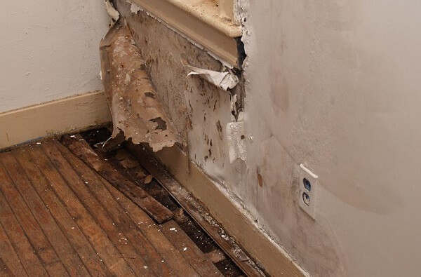 Comment repeindre un mur ou un plafond après un dégât des eaux?
